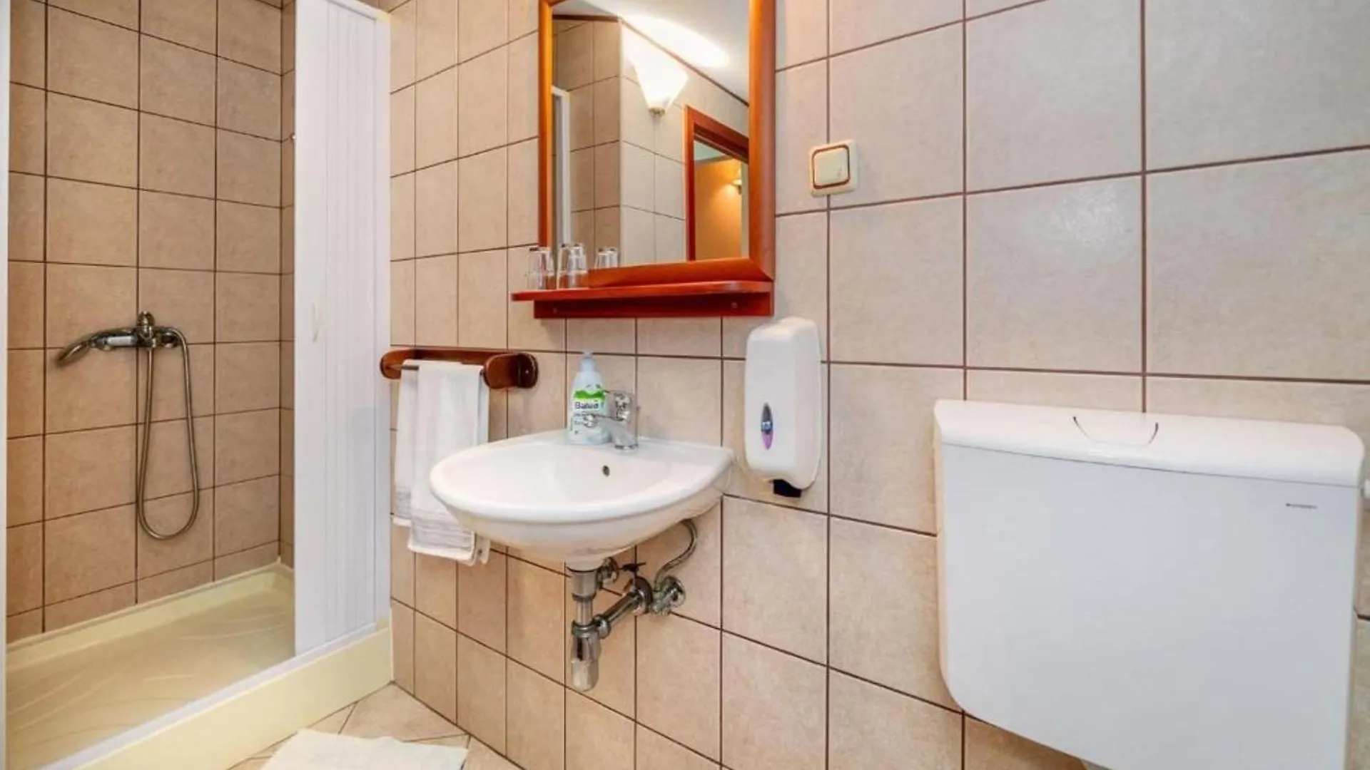 Apartments Villa Roza Drazice Guest house